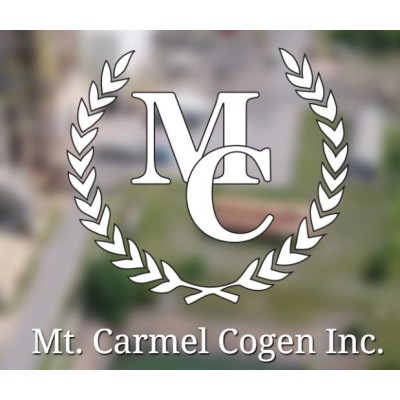 Mt. Carmel Cogen Inc